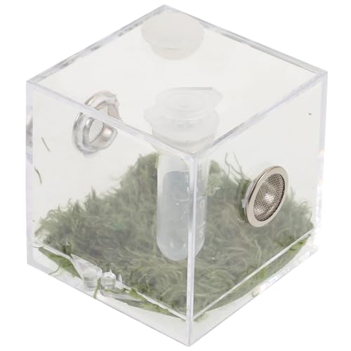 1 Satz Springspinnen-Zuchtbox insektenbox Halloween-Spinnennetz Reptil fangen Schildkröte Tank Futterkasten für Insekten Zuchtbehälter Insektenlebensraum Fall Fütterung Fall Acryl ROMISBABA von ROMISBABA