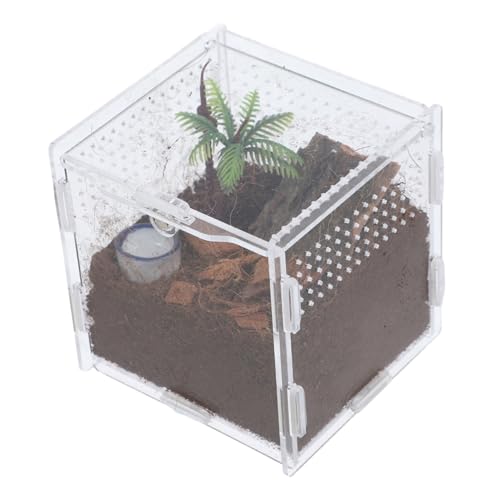 ROMISBABA 1 Satz Springspinnen-zuchtbox Spinnen-Terrarium Transparenter Springspinnenkäfig Fütterung Fall Zuchtbehälter Lebensraumkäfig Für Insekten Insektenbehälter Reptilfall Acryl von ROMISBABA