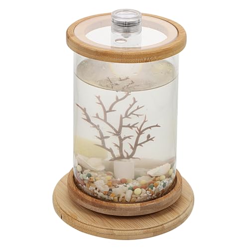 ROMISBABA 1 Set Desktop Micro View Aquarium Bürodekoration Für Schlafzimmer Desktop Fischglas Bürozubehör Terrarium Betta Fisch Haushalt Aquarium Tank Haushalts Fischglas von ROMISBABA