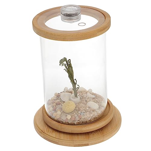 ROMISBABA 1 Set Desktop Micro View Aquarium Mini Aquarium Goldfischglas Kleines Betta Aquarium Bürozubehör Starter Aquarium Betta Aquarium Hydrokultur Reinigungstank Grün von ROMISBABA