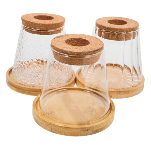 ROMISBABA 3 Sets Hydrokultur Flasche Pflanzer Glas Pflanze Vase mit Kork Basis Landschaft Vase für Büro von ROMISBABA