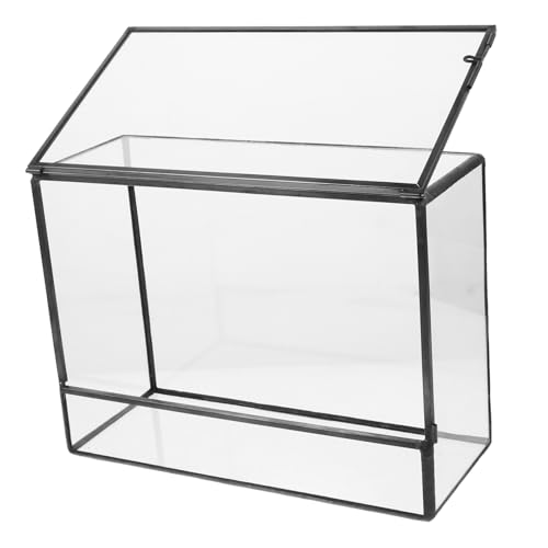 ROMISBABA Sukkulenten Terrarium Landschaft Ökosystem Glas Pflanze Terrarium Desktop Pflanze Ausbreitung Freund von ROMISBABA