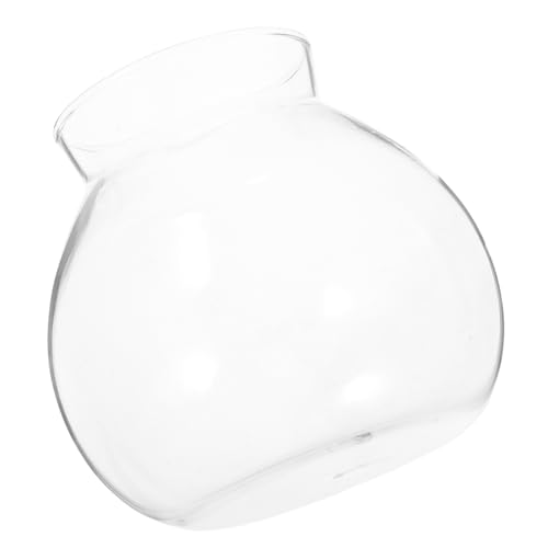 ROMISBABA Ökologische Mikrolandschaftsflasche Fischzubehör Mikropflanzen-hydrokulturflasche Gallonenkrüge Aus Glas Aquarium Aquarium Fischvorräte Transparent Glas Mit Hohem Borosilikatgehalt von ROMISBABA