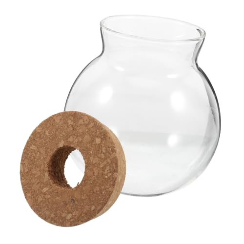 ROMISBABA Ökologische Mikrolandschaftsflasche Hydroponisches Gefäß Pflanzen Glasvase Pflanzenbehälter Fischglas Dekoration saftiges Terrarium kleines Glasterrarium Fischvase Holz Transparent von ROMISBABA