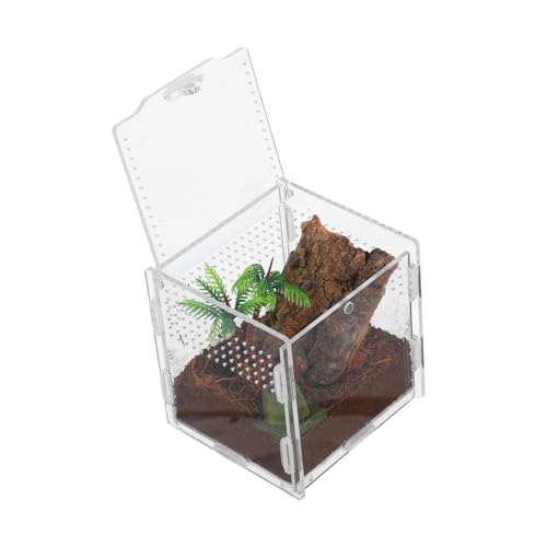 ROMISBABA Spinnenbox für Haustiere Reptilien Terrarium Insekten Terrarium Beobachtungs Terrarium Springende Spinnenhaltung Transparentes Terrarium Schildkrötengehege Frosch Terrarium Acryl von ROMISBABA