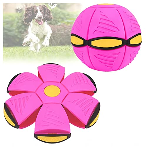 ROMOZ Haustier Spielzeug Fliegende Untertasse, Hundespielzeuge Gute FlexibilitäT Welpenspielzeug, Interaktives Hundespielzeug,Purple-1PC von ROMOZ