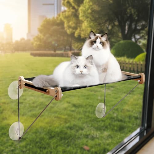 ROMROL Katzen-Fenstersitzstange, Katzenhängematte für große Katzen und Kätzchen, super Saugnapf, stabiles und langlebiges Katzenbett zum Sonnenbaden, Nickerchen und Übersehen – einfache Installation von ROMROL