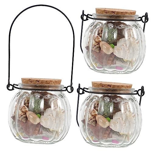 RORPOIR 3 Teiliges Set Aquarium Dekor Muschel Ornament Muschel Couch Dekor Flaschenschalen Seehaus Dekor Wunschflasche Drift Flasche Mikro Landschaftsbau Verzierungsflasche Mit von RORPOIR