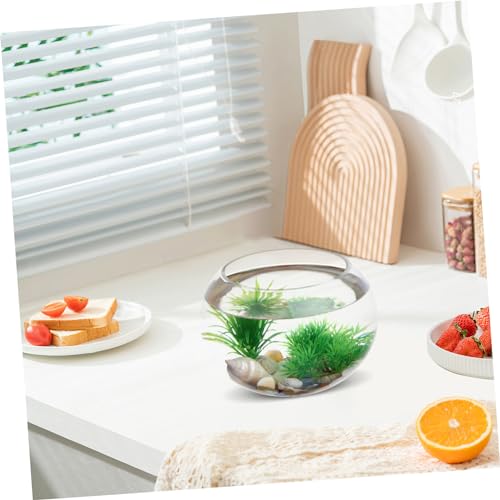 RORPOIR Glas Aquarium Durchsichtiger Fischhalter Kleine Fische Tisch Aquarium Fischschale Aquarium Für Den Schreibtisch Aquarium Für Zu Hause Desktop Aquarium Schreibtisch von RORPOIR