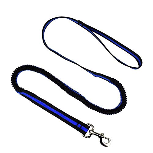 Seil 190cm Elastic Hundeleine Haustier-Katze-Welpen-Anti-Schlag-Pull Hundeleine Leine Einziehbare Leine for Kleine Haustiere (Color : Blue, Size : Width 1.5cm) von ROTAKUMA