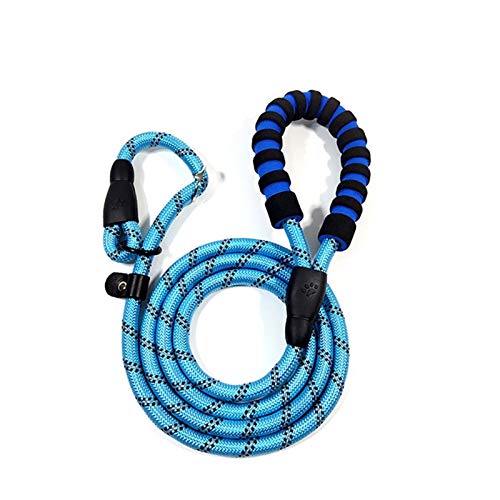 Seil Einstellbare Haustier-Leine-Kragen-2 In 1 Reflective Gepolsterten Griff Hundeleine Schlupftrainingsseil for Small Medium Large Hunde (Color : Blue, Size : M) von ROTAKUMA