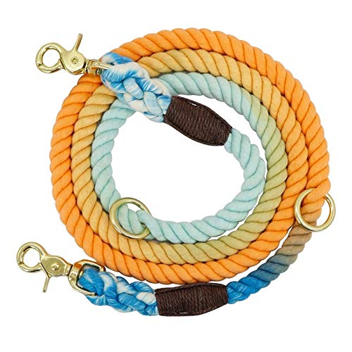 Seil Haltbare Nylonhundeleine Round Cotton Hunde Führstrick Außen Pet Walking Training Leads Seile Leinen Gürtel (Color : Blue and Orange, Size : 180cm) von ROTAKUMA