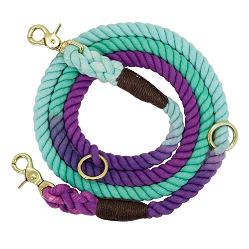 Seil Haltbare Nylonhundeleine Round Cotton Hunde Führstrick Außen Pet Walking Training Leads Seile Leinen Gürtel (Color : Purple and Green, Size : 180cm) von ROTAKUMA