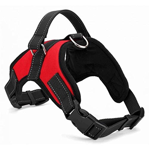 Seil Haustier Hund Kabelbaum Atmungsaktive Weste Harness for Hunde Welpen Katze Haustiere Brustgurt Leine Kragen Weste Tank Tops for Kleine Hunde Liefert (Color : Red, Size : L) von ROTAKUMA