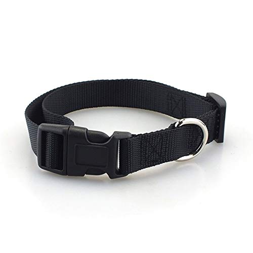 Seil Haustier-Hundehalsband Nylon Hund Katze Halsbänder for Hunde Small Medium Can Spiel Leine Harness Mit Quick Snap Schnalle (Color : Black Collar, Size : L 2.5cm) von ROTAKUMA