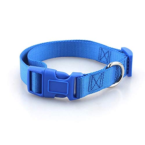 Seil Haustier-Hundehalsband Nylon Hund Katze Halsbänder for Hunde Small Medium Can Spiel Leine Harness Mit Quick Snap Schnalle (Color : Blue Collar, Size : L 2.5cm) von ROTAKUMA