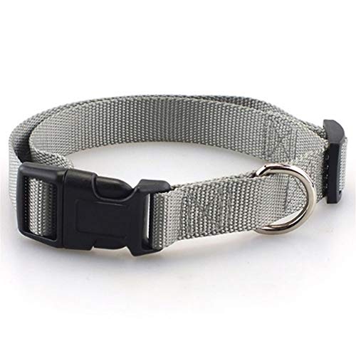 Seil Haustier-Hundehalsband Nylon Hund Katze Halsbänder for Hunde Small Medium Can Spiel Leine Harness Mit Quick Snap Schnalle (Color : Gray Collar, Size : M 1.9cm) von ROTAKUMA