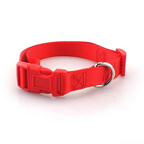 Seil Haustier-Hundehalsband Nylon Hund Katze Halsbänder for Hunde Small Medium Can Spiel Leine Harness Mit Quick Snap Schnalle (Color : Red Collar, Size : L 2.5cm) von ROTAKUMA