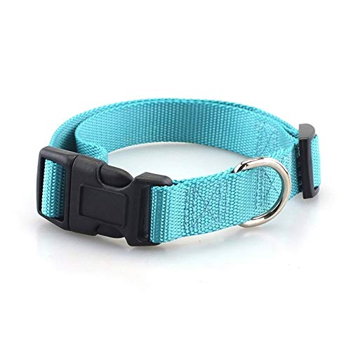 Seil Haustier-Hundehalsband Nylon Hund Katze Halsbänder for Hunde Small Medium Can Spiel Leine Harness Mit Quick Snap Schnalle (Color : Sky Blue Collar, Size : L 2.5cm) von ROTAKUMA