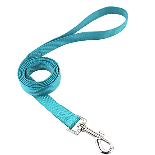 Seil Haustier-Hundehalsband Nylon Hund Katze Halsbänder for Hunde Small Medium Can Spiel Leine Harness Mit Quick Snap Schnalle (Color : Sky Blue Leash, Size : S 1.6cm) von ROTAKUMA