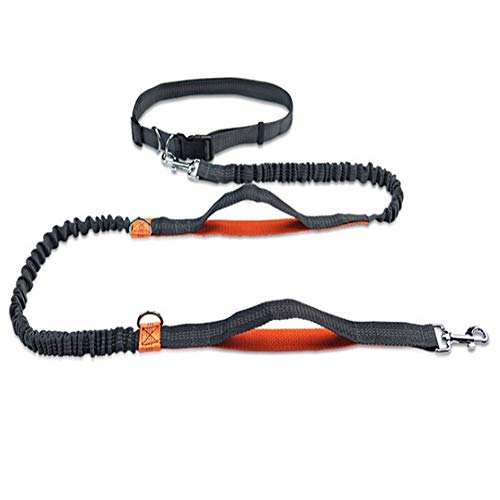 Seil Haustier-Hundeleine Zugseil Lauf Gurtgummiband Hände Frei Jogging Zugseil (Color : Orange) von ROTAKUMA