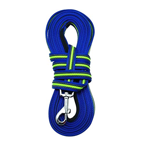 Seil Hund Suchleine Lang Führt Non-Slip Nylon Gehtraining 3m 5m 10m 15m for Medium Large Hunde Weich Gepolsterten Griff (Color : Blue, Size : 10m) von ROTAKUMA