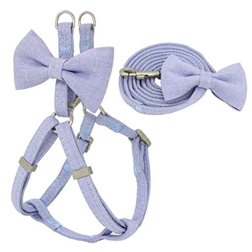 Seil Hundegeschirr Leine Collar Set Einstellbare Weiche Nette Bogen-Double-Layer-Hundegeschirr for Small Medium Hundehalsband Leine Im Freien Zu Fuß (Color : Blue, Size : M 1.5cm) von ROTAKUMA