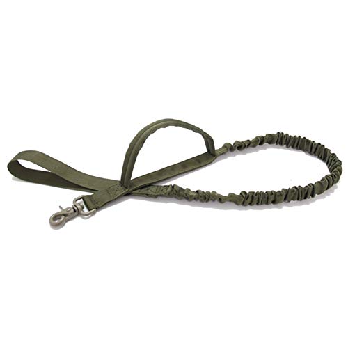 Seil Hundeleine 2 Handle Hund Katze Haustier-Leine Elastic Leads Seil Hundetraining Leinen for Große Hunde (Color : Green) von ROTAKUMA