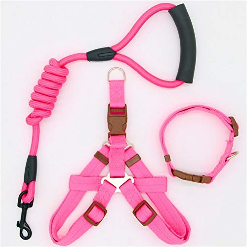 Seil Hundeleine Aus Nylon Hundeleine for Hund, Katze, Laufen Oder Training Collar Und Harness (Color : Collar Harness PINK, Size : L 50 65cm Chest) von ROTAKUMA