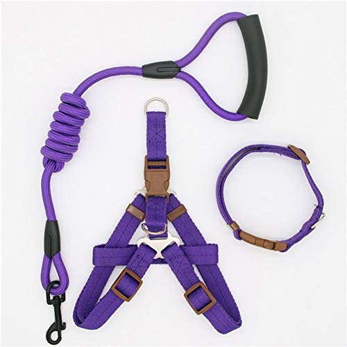 Seil Hundeleine Aus Nylon Hundeleine for Hund, Katze, Laufen Oder Training Collar Und Harness (Color : Collar Harness PUR, Size : M 40 55cm Chest) von ROTAKUMA