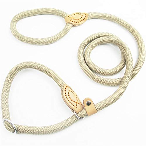 Seil Hundeleine Schlupfkragen Haustier Gehen Leine Aus Nylon Hundebergsteigen Seil Welpen Haustier Traction for Kleine Mittlere Große Hunde (Color : Beige, Size : 1.6cmX150cm) von ROTAKUMA