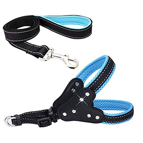 Seil Kein Pull-Hundegeschirr Einstellbare Basic-Nylon-Hundeweste Reflektierende Haustier Leads Gehen Leine Harness S M L (Color : Blue, Size : L) von ROTAKUMA