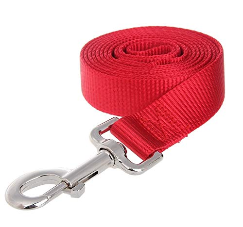 Seil Nylon Hundeleinen Lang Pet Walking Training Leine Katzen Hunde Harness Kragen Blei-Bügel-Gurt 3 Farben 1.5M 1.8M 3M 4.5M 6M 10M (Color : 02, Size : 1.8M) von ROTAKUMA