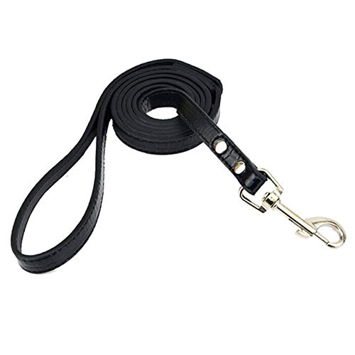 Seil Qualitäts-Leder Hunde Haustiere Leads Und Leine (Color : Crocodile Black, Size : M) von ROTAKUMA