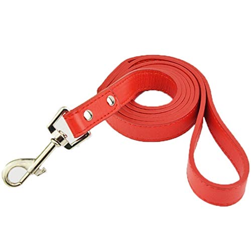 Seil Qualitäts-Leder Hunde Haustiere Leads Und Leine (Color : Plain Red, Size : M) von ROTAKUMA