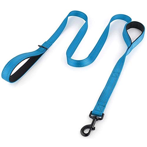 Seil Reflektierende Gepolsterte Hundeleine Zwei Griff Durable Small Medium Large Dog Hundeführleine Nylon Blei 7 Farben (Color : Sky Blue, Size : M 1.5M (4.9FT)) von ROTAKUMA