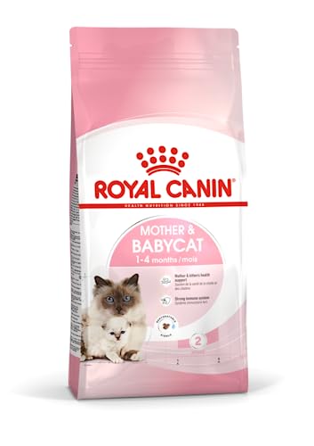 RC Babycat 34 (1) - 4kg von ROYAL CANIN