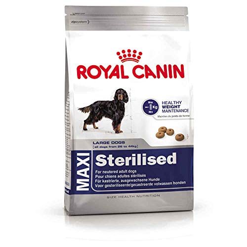 ROYAL CANIN (ROYBJ) Hundefutter Maxi Sterilised, 1er Pack (1 x 3 kg) von ROYAL CANIN