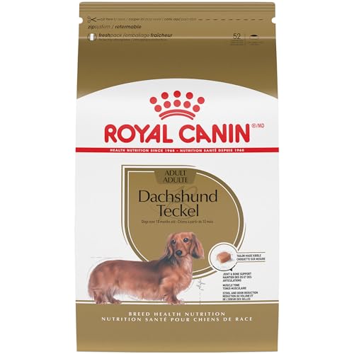 Royal Canin Dry Dog Food, Dachshund Formula, 10-Pound Bag by Royal Canin von ROYAL CANIN