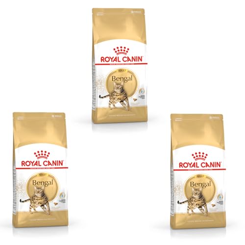 Royal Canin Bengal Adult | 3er Pack | 3 x 400 g | Alleinfuttermittel für Katzen | Speziell für ausgewachsene Bengalkatzen | Ab dem 12. Monat | Trockennahrung für Bengal-Katzen von ROYAL CANIN