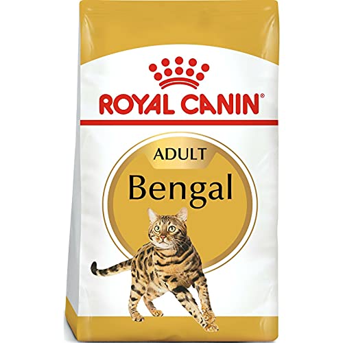 Royal Canin Bengal Adult | 400 g | Alleinfuttermittel für Katzen | Speziell für ausgewachsene Bengalkatzen | Ab dem 12. Monat | Trockennahrung für Bengal-Katzen von ROYAL CANIN