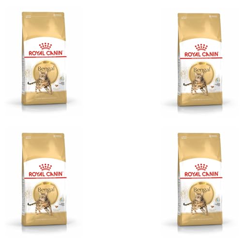 Royal Canin Bengal Adult | 4er Pack | 4 x 400 g | Alleinfuttermittel für Katzen | Speziell für ausgewachsene Bengalkatzen | Ab dem 12. Monat | Trockennahrung für Bengal-Katzen von ROYAL CANIN