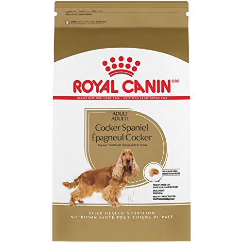 ROYAL CANIN Breed Health Nutrition Cocker Spaniel Adult Dry Dog Food, 25-Pound by Royal Canin von ROYAL CANIN