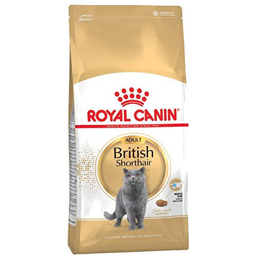 ROYAL CANIN British Shorthair 2 x 4kg Sparpackung von ROYAL CANIN