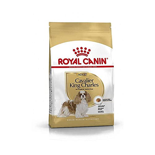 Royal Canin Cavalier King Charles Adult | 1,5 kg | Trockenfutter für Hunde | Kann die natürlichen Abwehrkräfte und Herzgesundheit unterstützen | Könnte Verdauung fördern von ROYAL CANIN