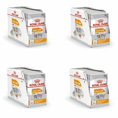 ROYAL CANIN Coat Care Mousse | 4er Pack | 4 x 12 x 85 g | Nassfutter für Hunde | Für Hunde ab dem 10. Lebensmonat | Rezeptur für Hunde mit stumpfem und trockenem Fell von ROYAL CANIN