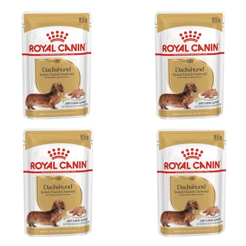 Royal Canin Dachshund Adult Mousse | 4er Pack | 4 x 12 x 85 g | Alleinfuttermittel für Hunde | Für ausgewachsene Dackel | Kann dabei unterstützen die Knochen und Gelenke zu schützen von ROYAL CANIN