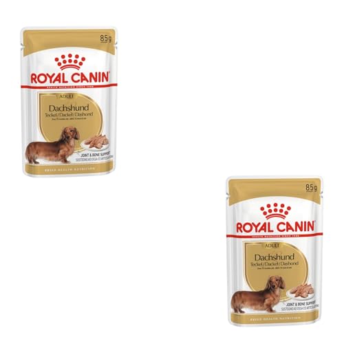 Royal Canin Dachshund Adult Mousse | Doppelpack | 2 x 12 x 85 g | Alleinfuttermittel für Hunde | Für ausgewachsene Dackel | Kann dabei unterstützen die Knochen und Gelenke zu schützen von ROYAL CANIN