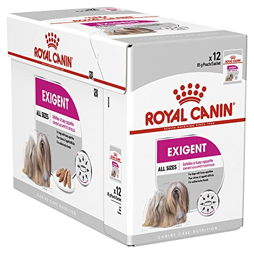 ROYAL CANIN Exigente Mousse | 12 x 85 g | Nassfutter für ausgewachsene Hunde ab dem 10. Lebensmonat | Für wählerische Hunde | Mit hochwertigen Proteinen von ROYAL CANIN