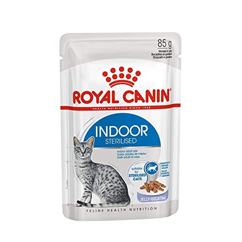 ROYAL CANIN FHN Indoor Jelly - Wet Food for Adult Cats - 12x85g von ROYAL CANIN